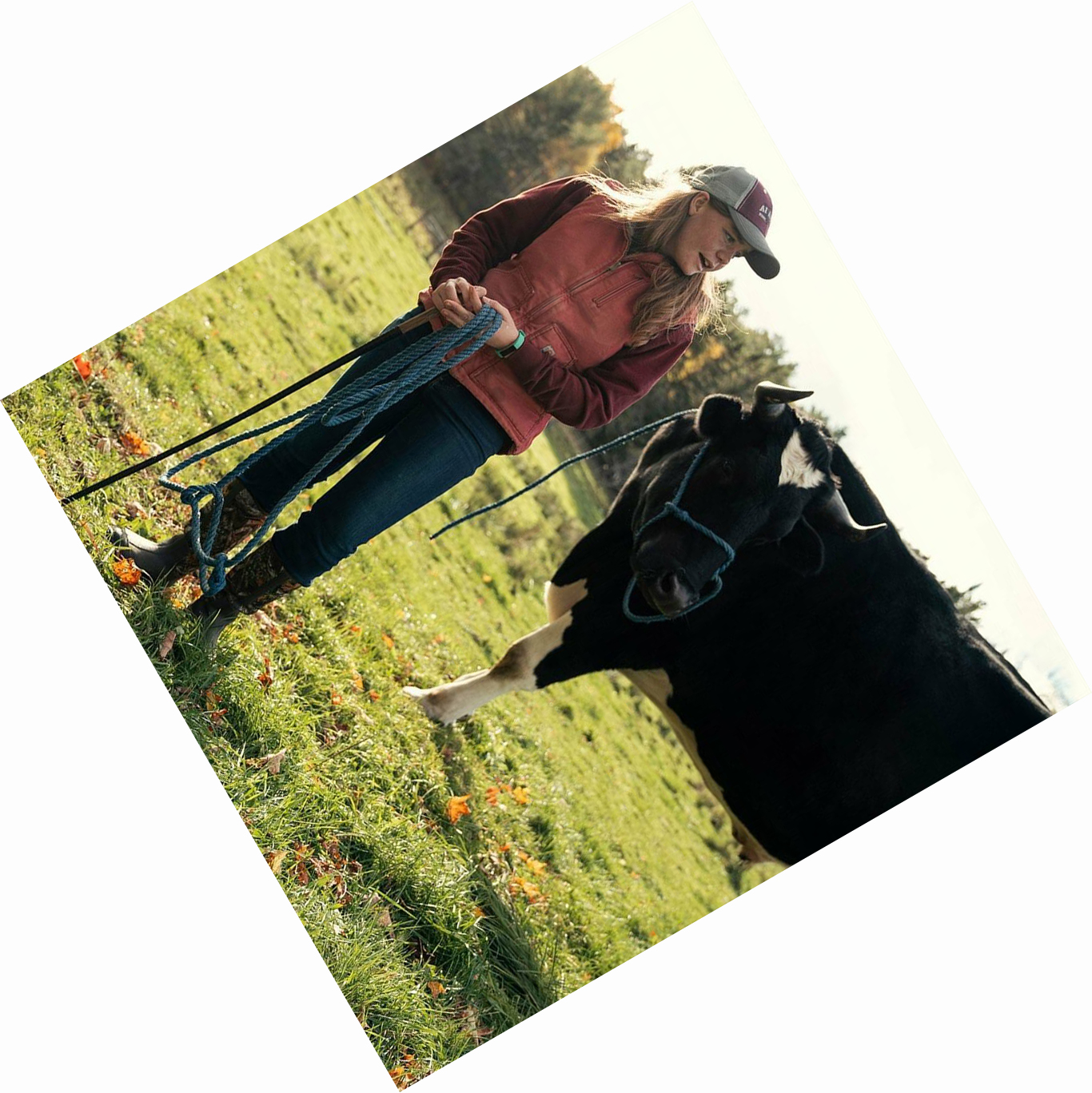 Brown Muck Fieldblazer Classic Women's Tall Boots | NZ-01ASVH