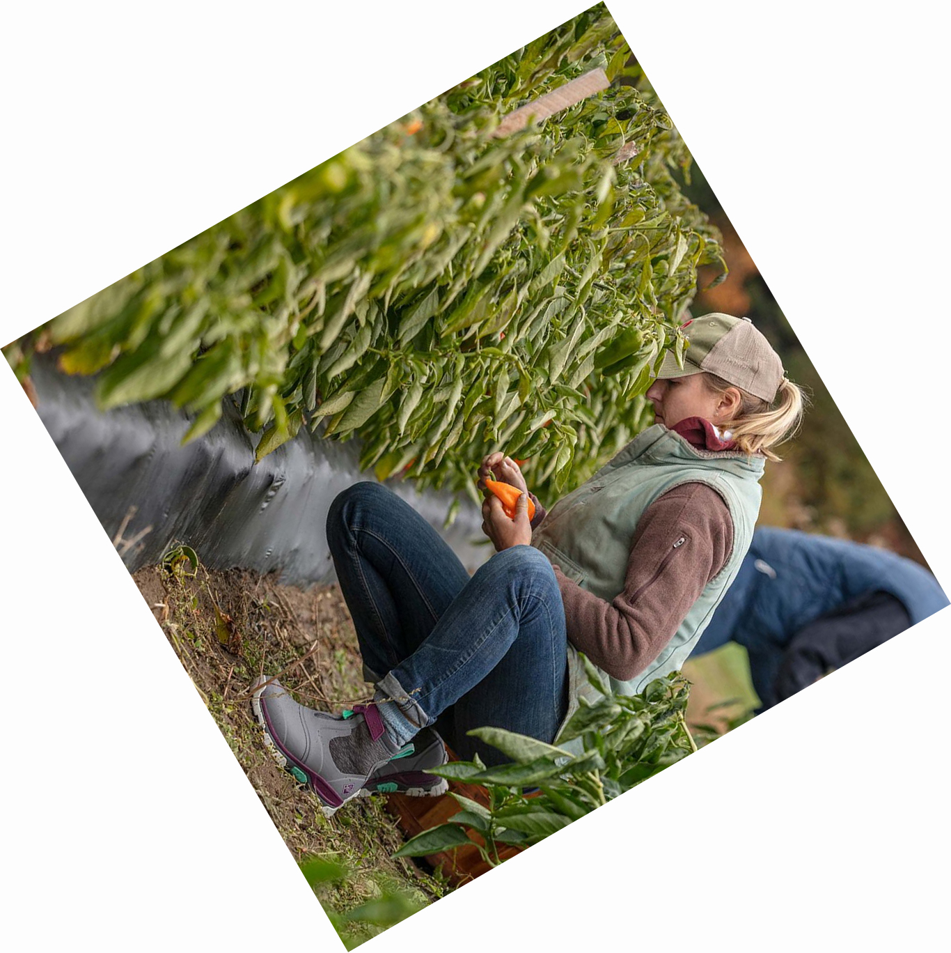 Grey Muck Apex Women's Hunting Boots | NZ-64RMWO