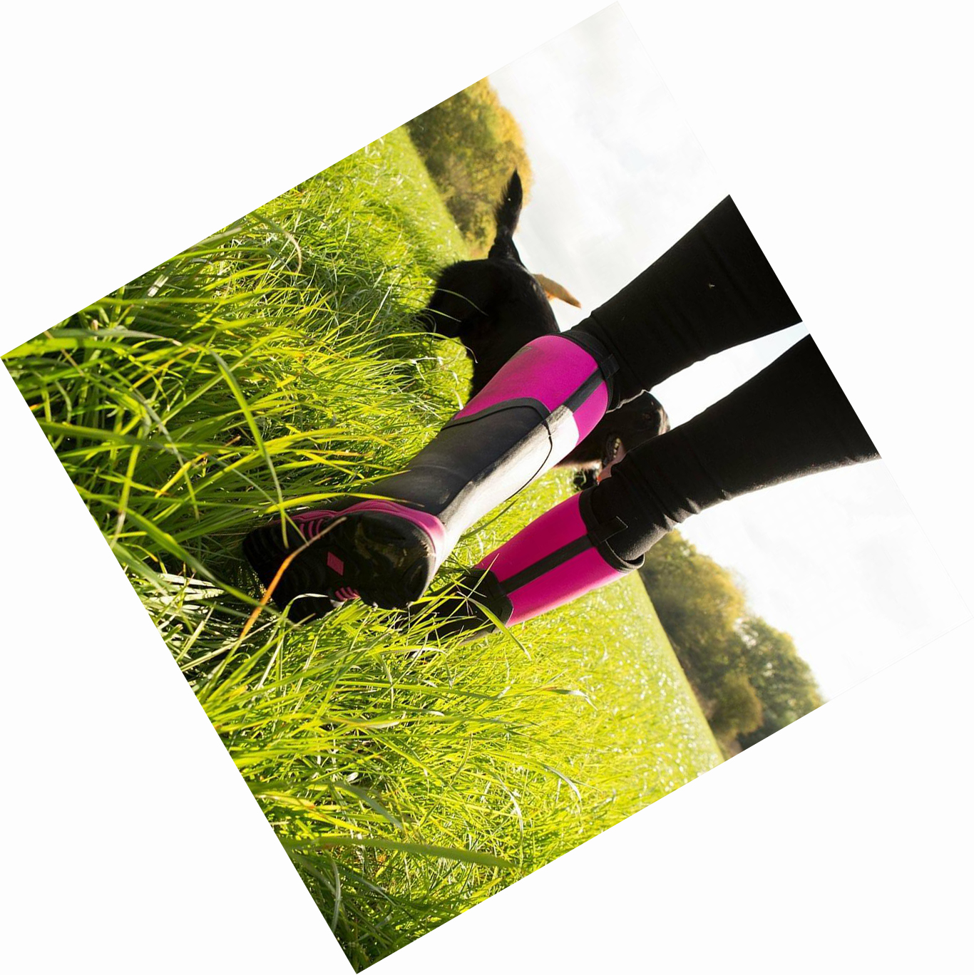 Pink Muck Arctic Sport II Women's Tall Boots | NZ-35AZFS